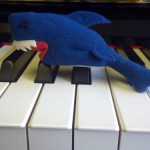 Ikea shark puppet on piano keys in Didsbury Macnhester