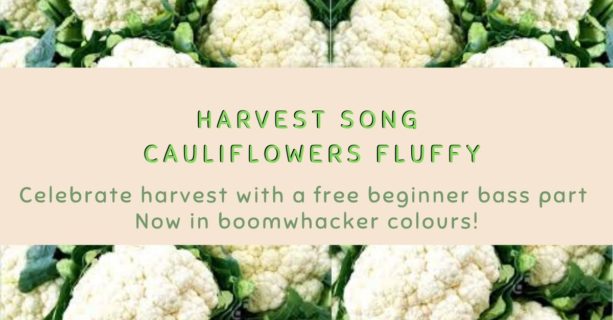 Cauliflowers Fluffy Didsbury Piano